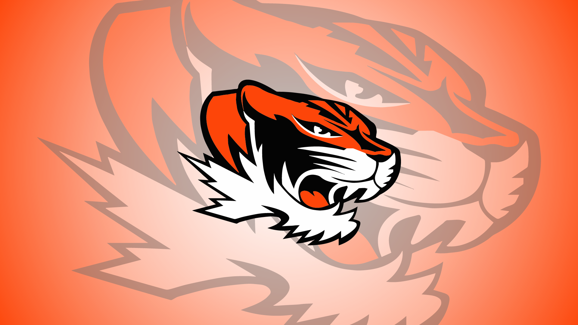 Thompson double tiger in the center of a white to orange gradient. 