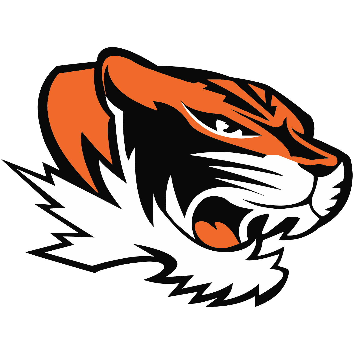 Thompson tiger logo